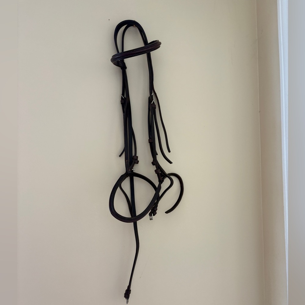 Courbette English Bridle